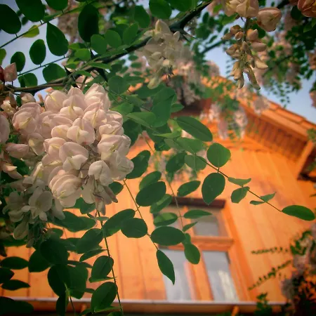 Guest house Sarreti Vendeghaz