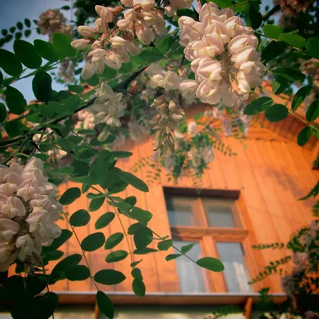 Guest house Sarreti Vendeghaz *
